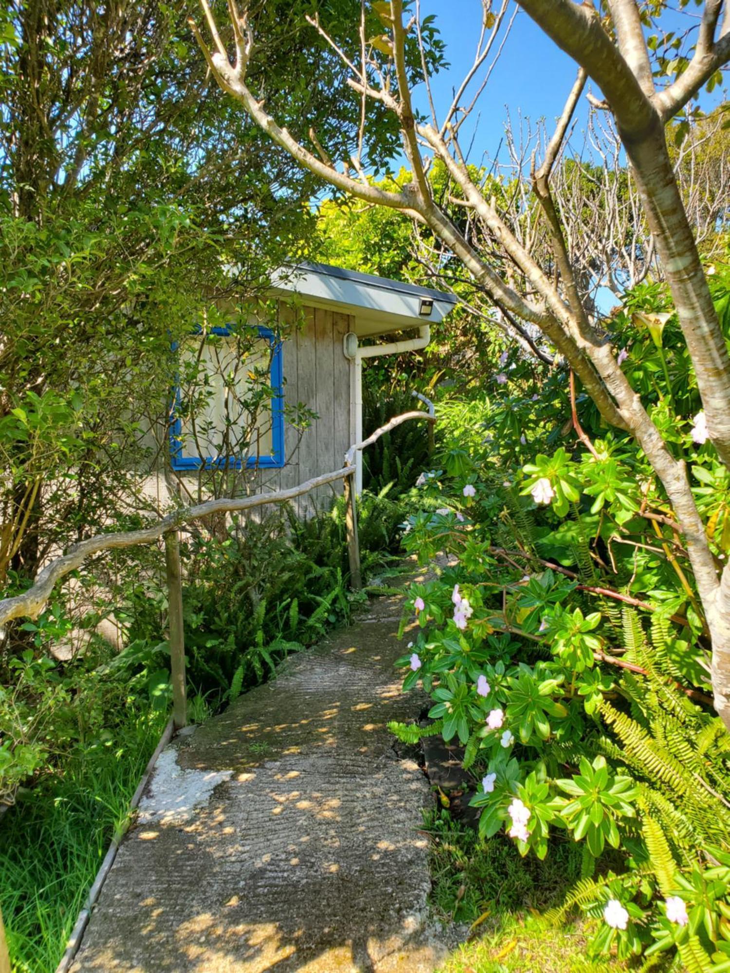 Rawhiti Cottage At Kaeppeli'S Kuaotunu 외부 사진